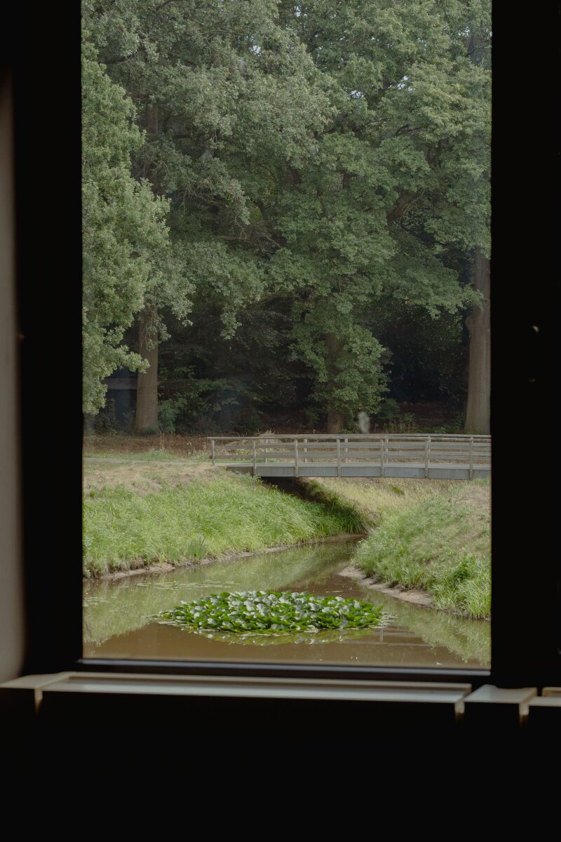 Doorkijk door het raam naar een beekje in het groen.