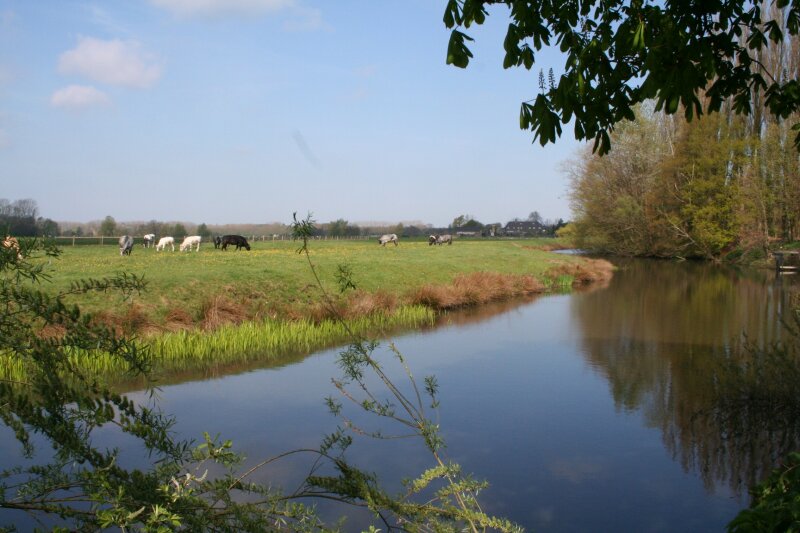 De Dommel in het voorjaar bij De Ruwenberg.