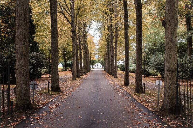 Oprijlaan naar het Landgoed.