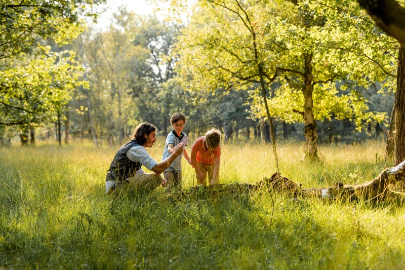 Vader wandelt met kinderen door de Brabantse natuur.