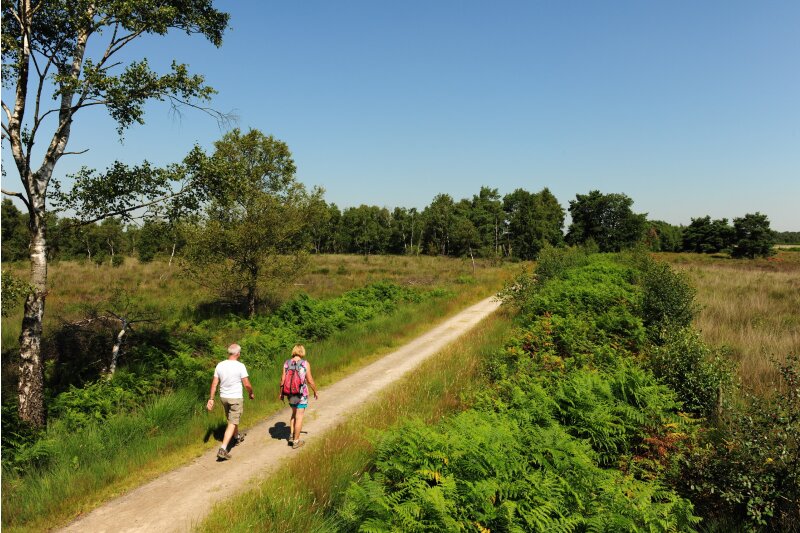 Wandelaars in de Brabantse natuur.